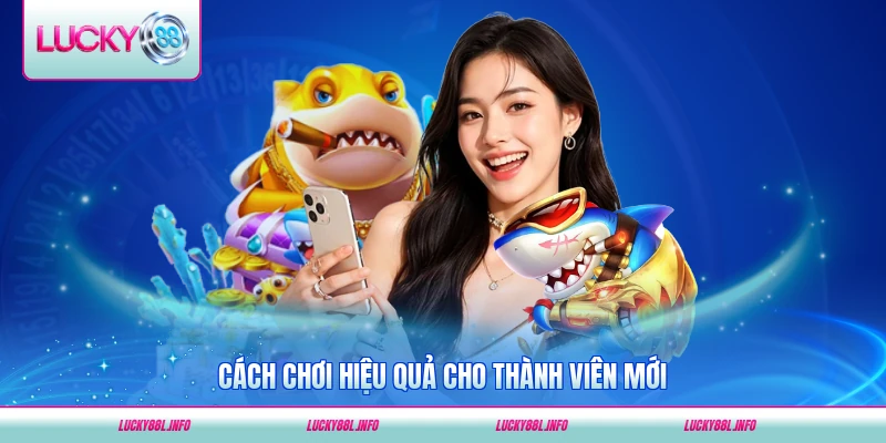 Cách chơi hiệu quả cho thành viên mới LUCKY88 từng bước