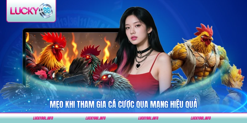 Mẹo khi tham gia cá cược qua mạng hiệu quả